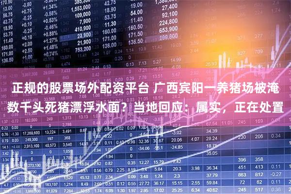 正规的股票场外配资平台 广西宾阳一养猪场被淹数千头死猪漂浮水面？当地回应：属实，正在处置